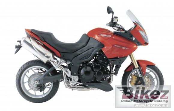 2008 triumph tiger photo